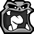 600 Diamond Shards