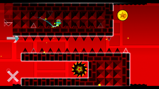 Second secret coin